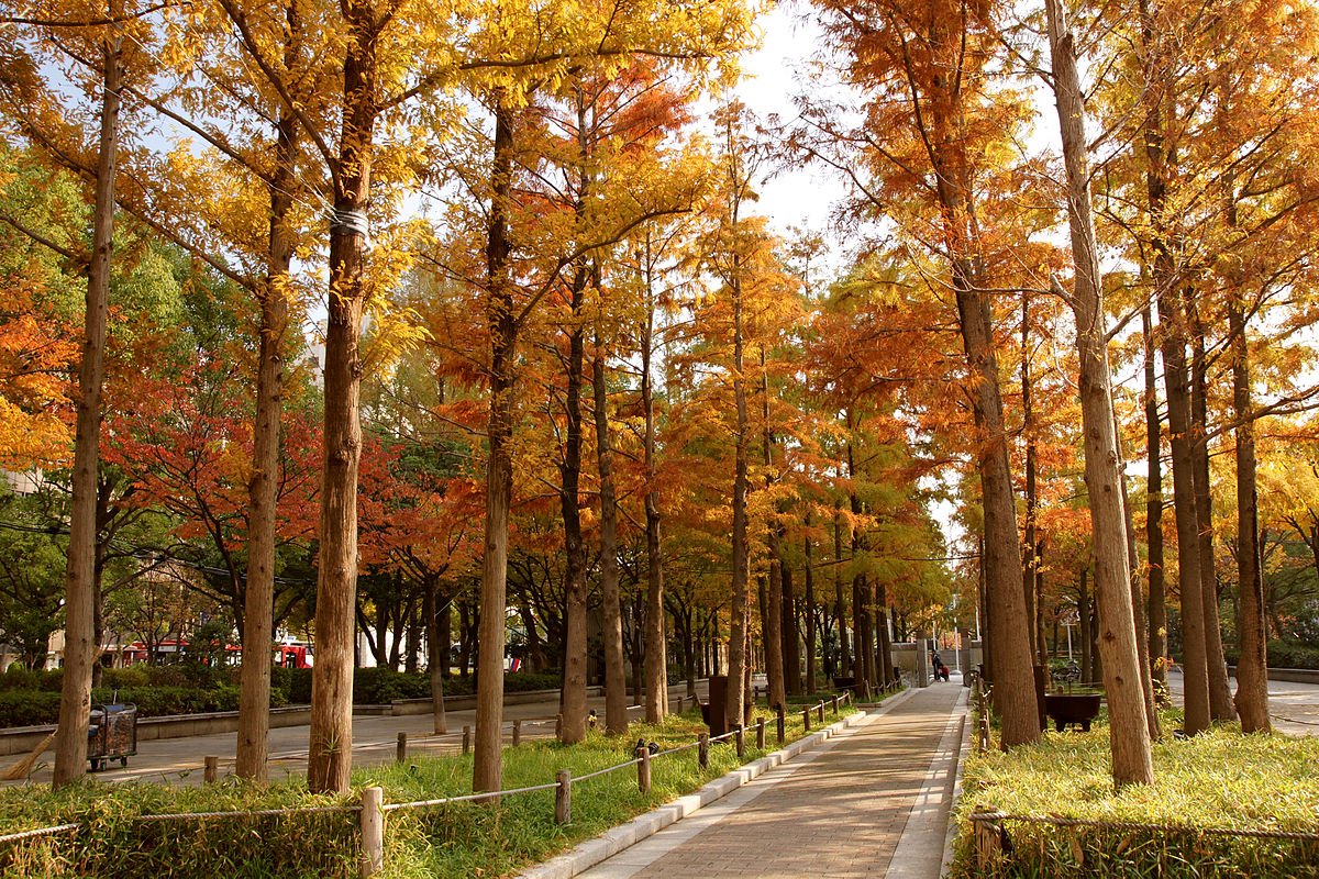 🌳 동유원지 (히가시유엔치 공원) 이미지 8